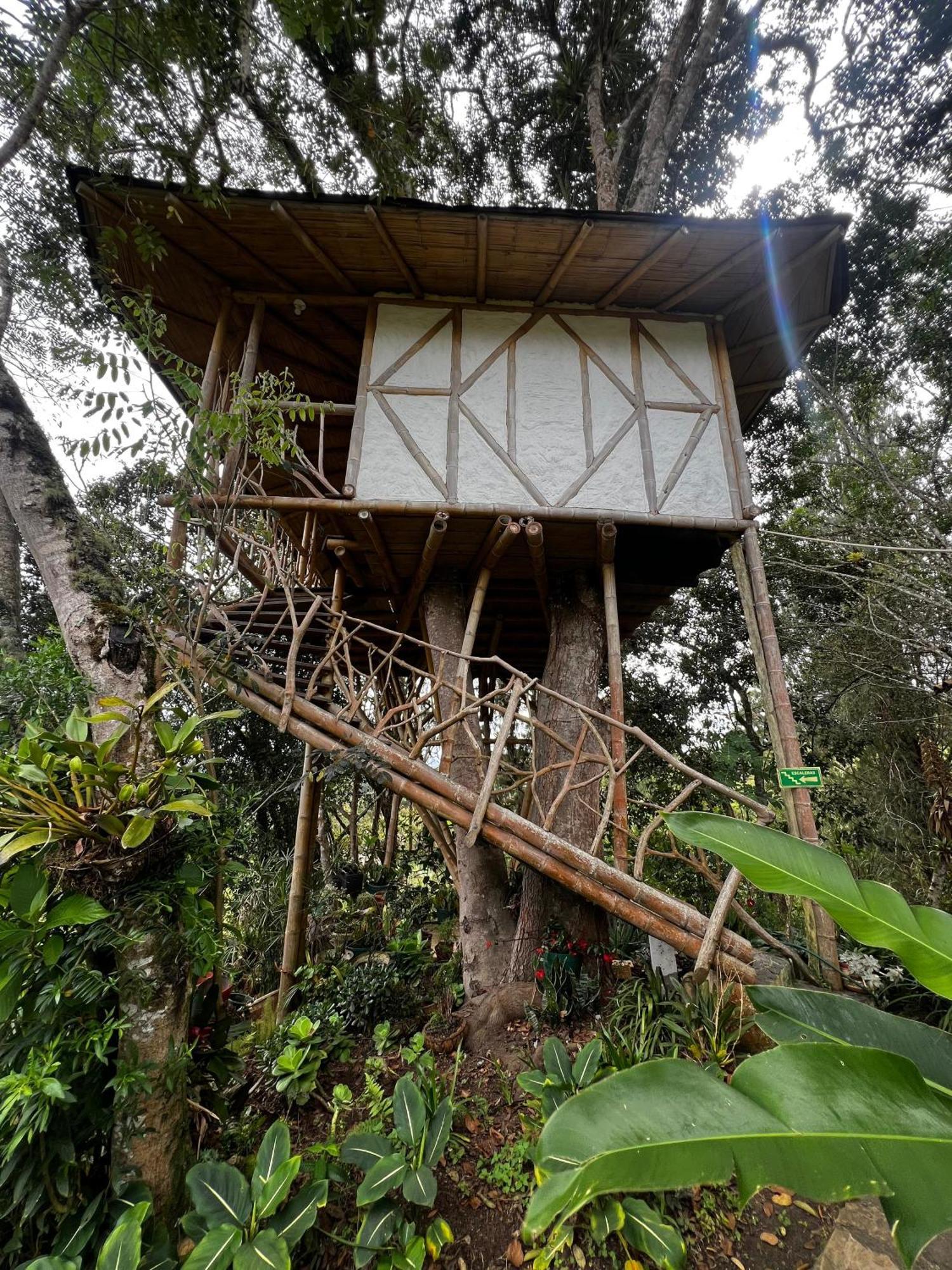 Finca El Cielo San Agustín 外观 照片
