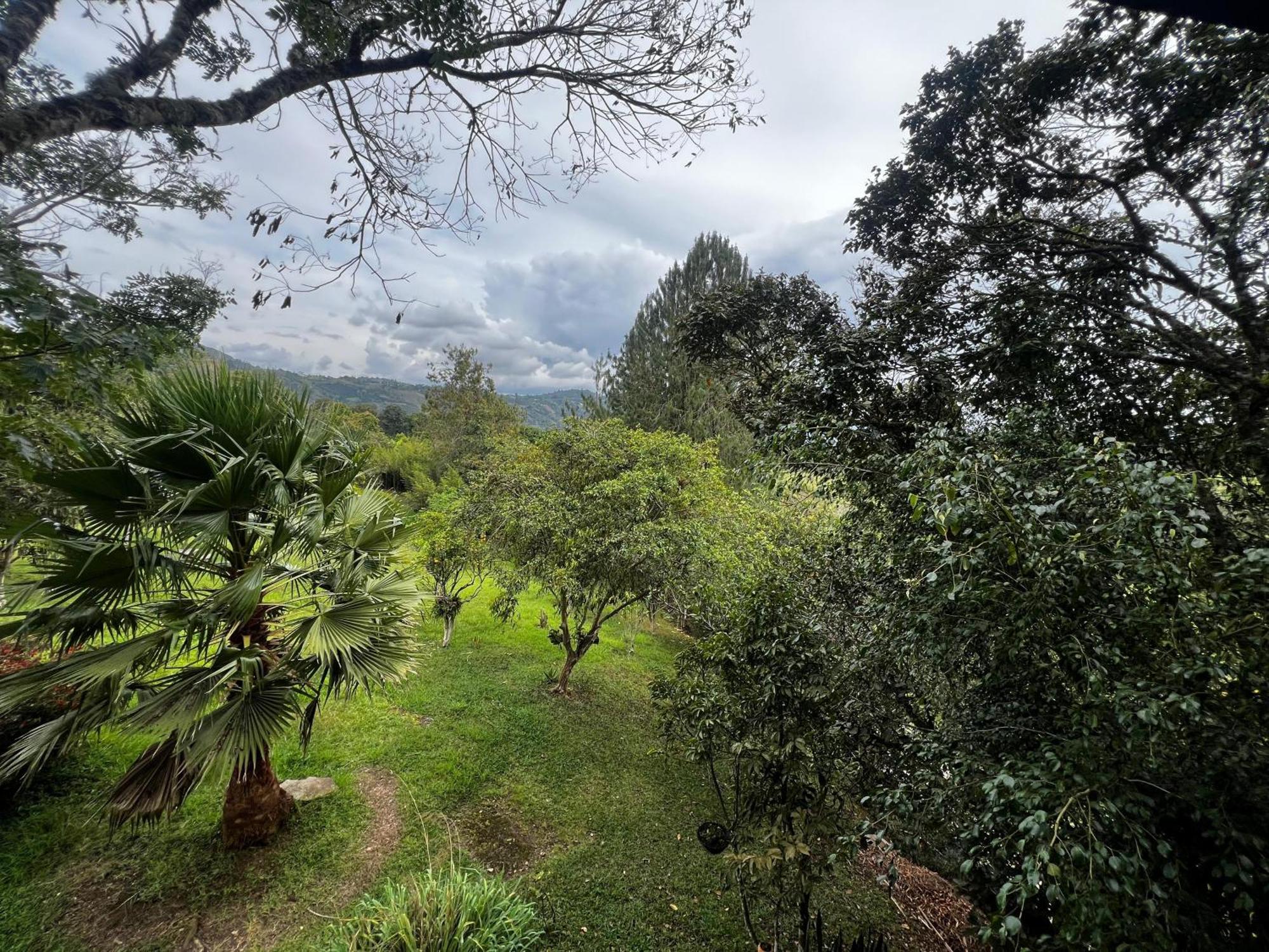 Finca El Cielo San Agustín 外观 照片