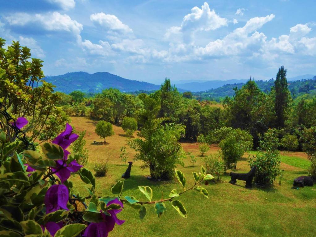 Finca El Cielo San Agustín 外观 照片