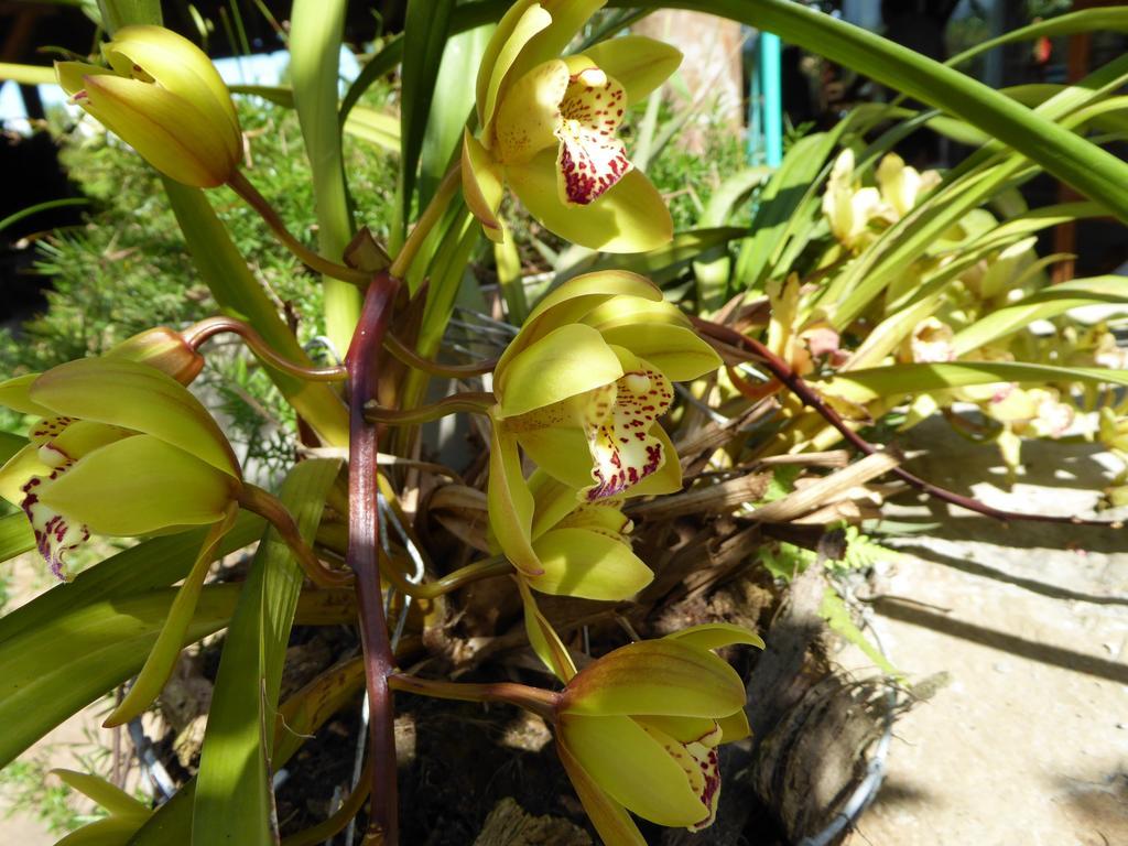 Finca El Cielo San Agustín 外观 照片