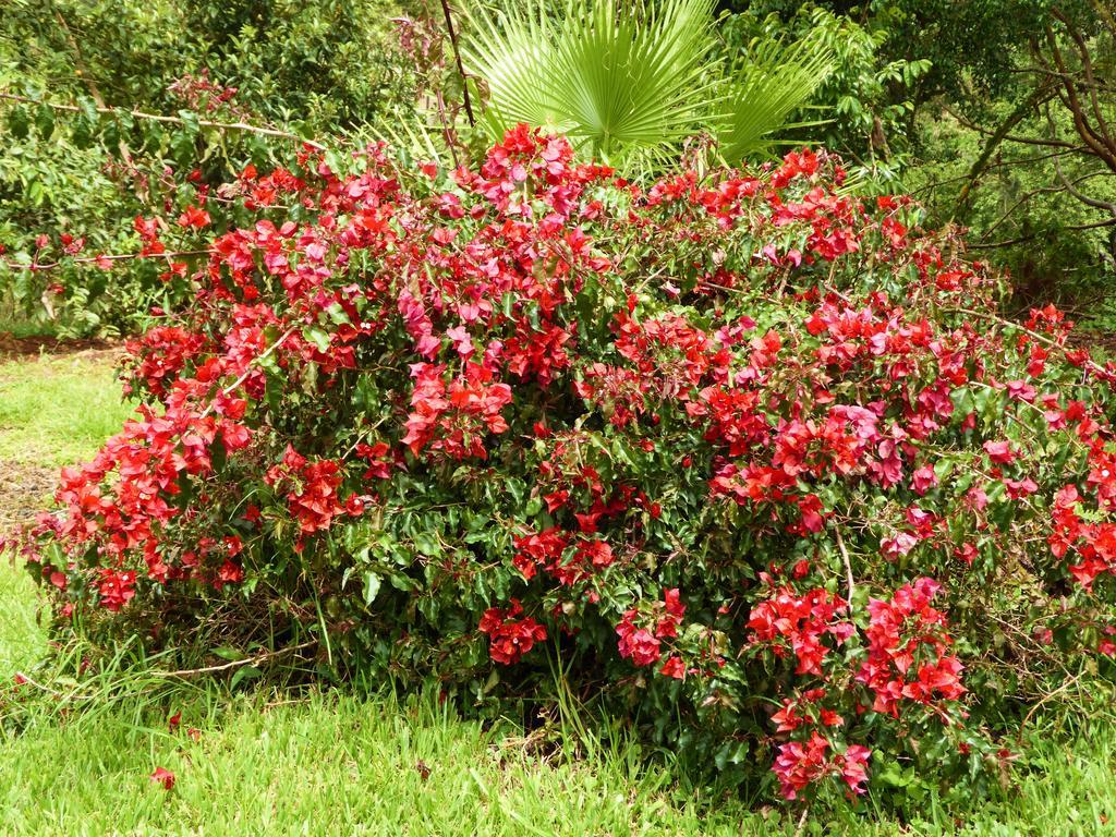 Finca El Cielo San Agustín 外观 照片