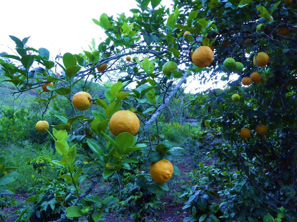 Finca El Cielo San Agustín 外观 照片