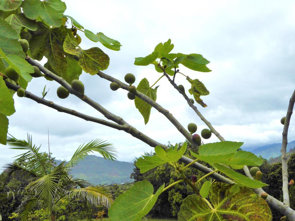 Finca El Cielo San Agustín 外观 照片