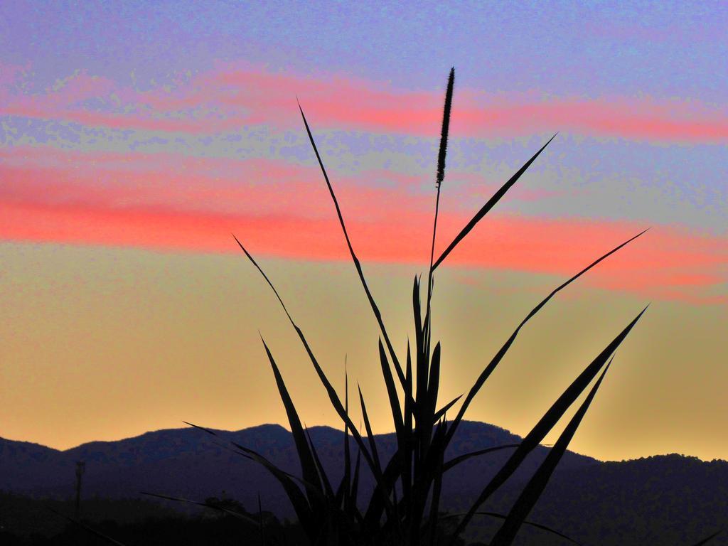 Finca El Cielo San Agustín 外观 照片
